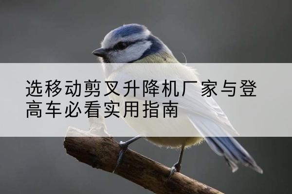 宏伟电动升降机厂家-选移动剪叉升降机厂家与登高车必看实用指南