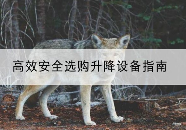 宏伟升降货梯厂家推荐-*安全选购升降设备指南