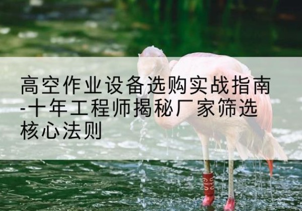宏伟剪叉式升降机厂家-高空作业设备选购实战指南-十年工程师揭秘厂家筛选核心法则